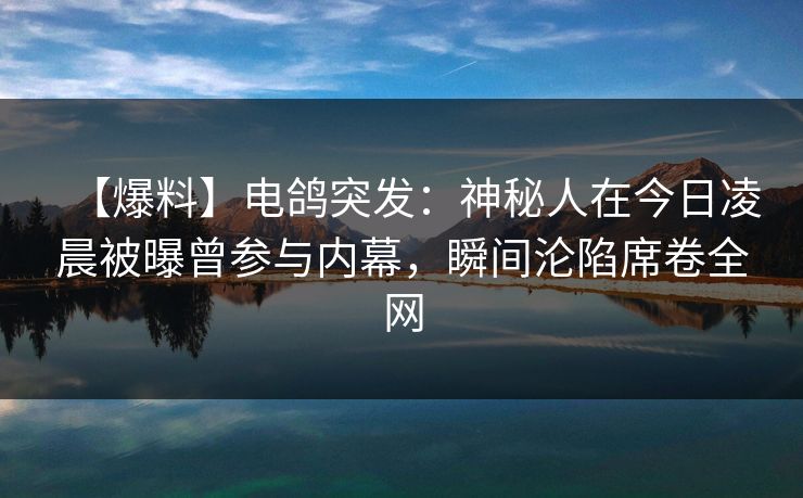 【爆料】电鸽突发：神秘人在今日凌晨被曝曾参与内幕，瞬间沦陷席卷全网
