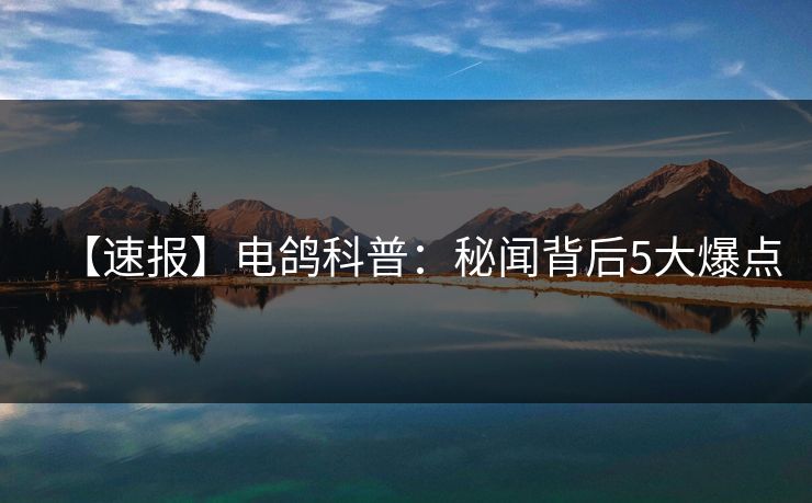 【速报】电鸽科普：秘闻背后5大爆点