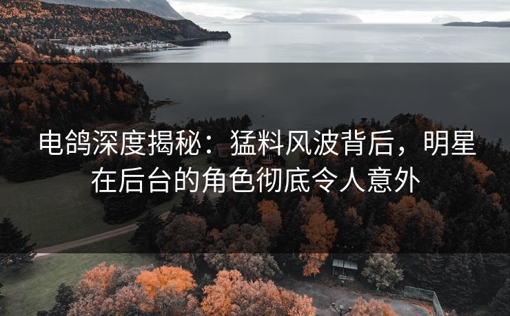 电鸽深度揭秘：猛料风波背后，明星在后台的角色彻底令人意外