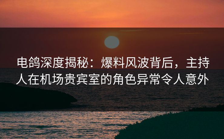 电鸽深度揭秘：爆料风波背后，主持人在机场贵宾室的角色异常令人意外