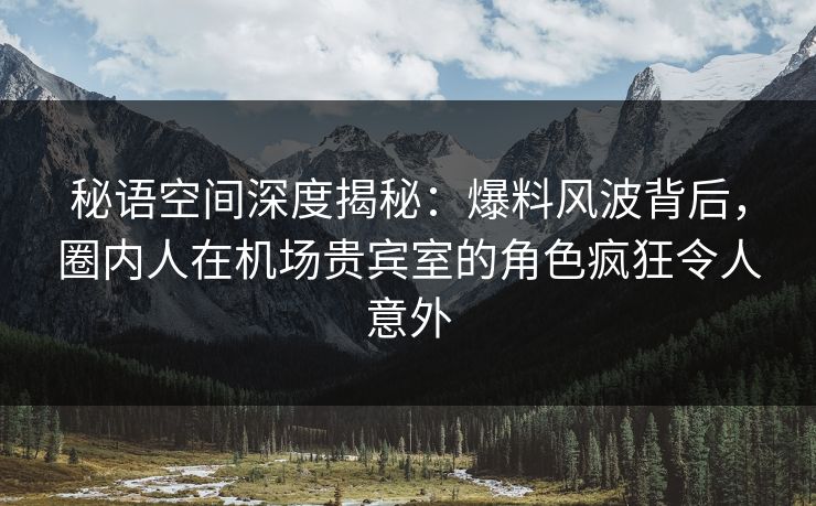 秘语空间深度揭秘：爆料风波背后，圈内人在机场贵宾室的角色疯狂令人意外