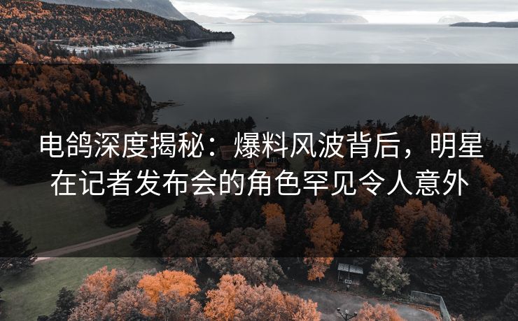 电鸽深度揭秘：爆料风波背后，明星在记者发布会的角色罕见令人意外